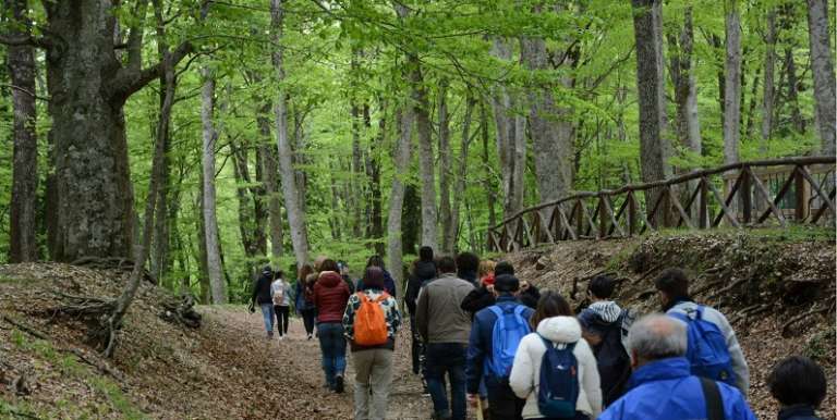 DOMENICA TORNANO LE “PEREGRINAZIONI BOTANICHE” ALLA SCOPERTA DELLA FORESTA UMBRA