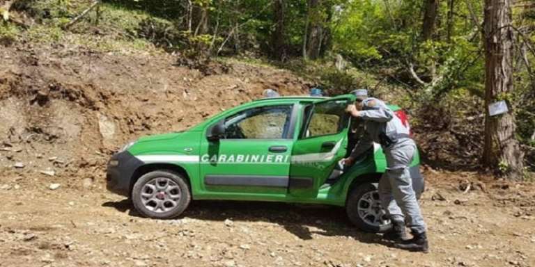 I CARABINIERI FORESTALI RECUPERANO 38 CARCASSE DI AUTO RUBATE E CANNIBALIZZATE