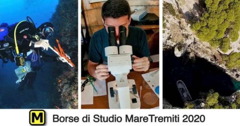 MARLINTREMITI, ASSEGNATE LE PRIME 2 BORSE DI STUDIO