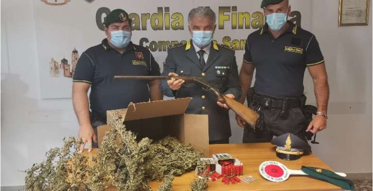 FINANZA: SEQUESTRATE TRE PIANTAGIONI DI CANNABIS. ARRESTATO UN RESPONSABILE ARMATO DI FUCILE