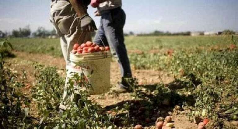 COLPITI DA MISURA CAUTELARE 5 SOGGETTI PER INTERMEDIAZIONE ILLECITA E SFRUTTAMENTO DEL LAVORO