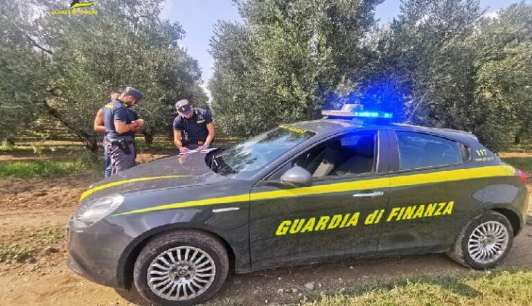 GDF FOGGIA: CAPORALATO, 4 ARRESTI, CENTINAIA DI BRACCIANTI EXTRACOMUNITARI SFRUTTATI