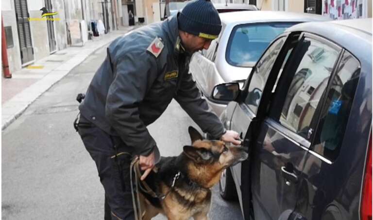 FINANZA: TRATTI IN ARRESTO 3 SOGGETTI PER DETENZIONE E SPACCIO DI STUPEFACENTI