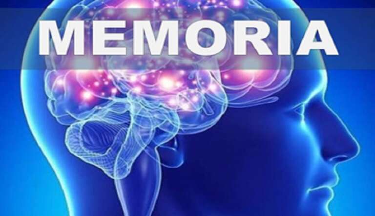 COME TENERE IN ALLENAMENTO LA MEMORIA