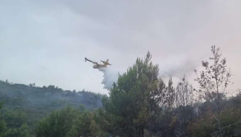 IL PARCO DEL GARGANO VICINO ALLE COMUNITA’ COLPITE DA INCENDIO