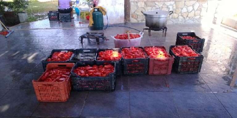 SAN NICANDRO, CONTINUA LA TRADIZIONE DELLA “SALSA”