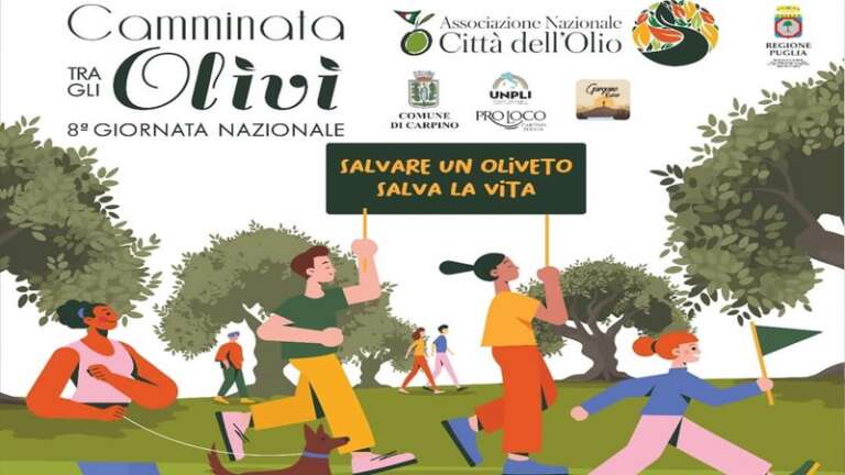 PERCORSO DELLA CAMMINATA TRA GLI OLIVI